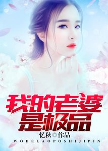 我的老婆是极品
