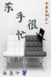 杀手很忙(杀手系列之一)