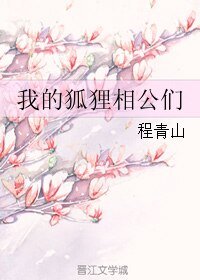 我的狐狸相公们