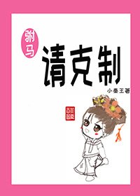 驸马请克制