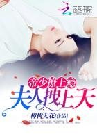 帝少撩上瘾:夫人拽上天