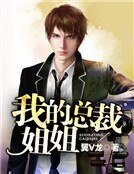 我的總裁姐姐