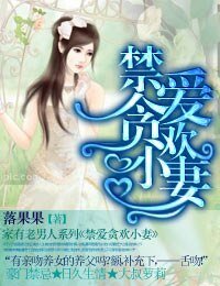 禁爱贪欢小妻