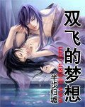 雙飛的夢想