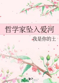 哲学家坠入爱河