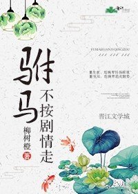 驸马不按剧情走
