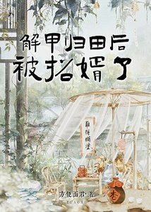 解甲歸田後,被招婿了